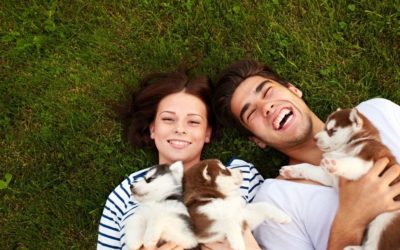 Qualities Of Trusted Breeders